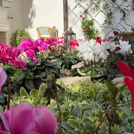 Le Jardin Fleuri 3* Castelluccio Valmaggiore