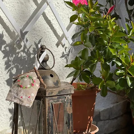 Le Jardin Fleuri Bed and breakfast Castelluccio Valmaggiore
