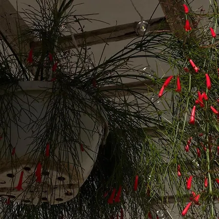 Le Jardin Fleuri