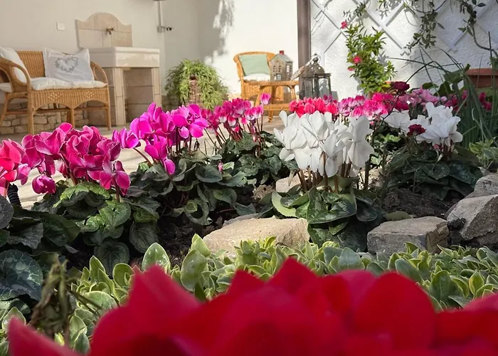 לינה וארוחת בוקר Le Jardin Fleuri