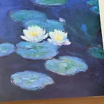 Le Jardin Fleuri 3* Castelluccio Valmaggiore