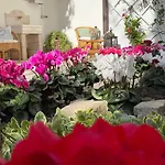 Alojamento de Acomodação e Pequeno-almoço Le Jardin Fleuri