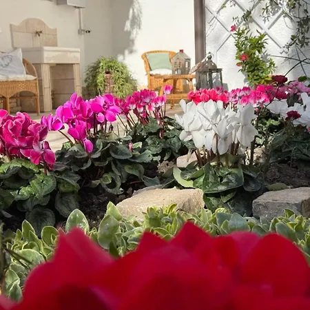 Oda ve Kahvaltı Le Jardin Fleuri
