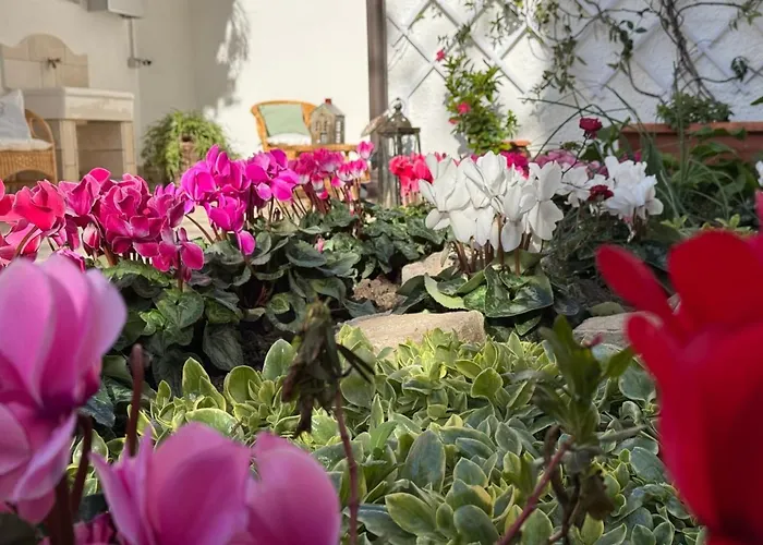 Le Jardin Fleuri * Castelluccio Valmaggiore